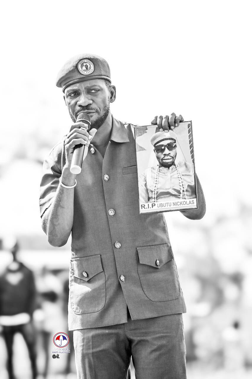 Freedom is coming, Support $BOBIWINE